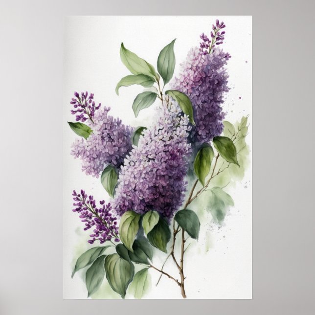 Lilac Blume Art Print Poster (Vorne)