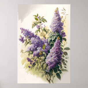 Lilac Blume Art Print Poster