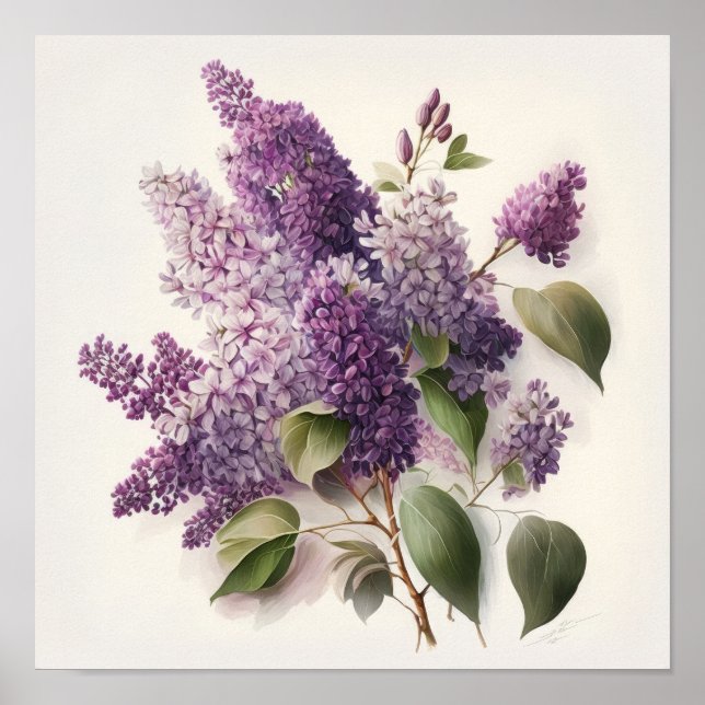 Lilac Blume Art Print Poster (Vorne)