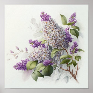 Lilac Blume Art Print Poster