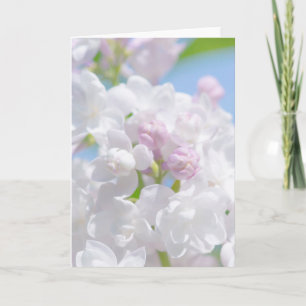 Lilac Blume Feiertagskarte