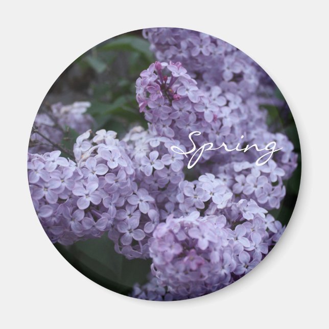 Lilac Blume Magnet (Vorne)