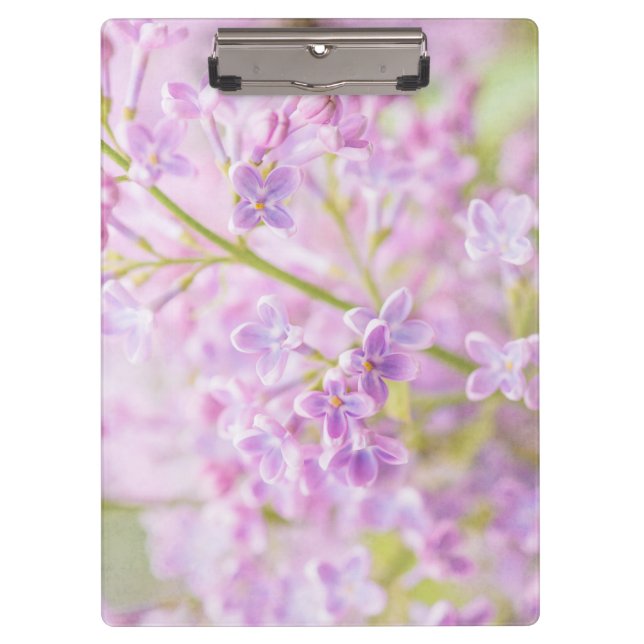 Lilac Blume Mist Klemmbrett (Vorderseite)