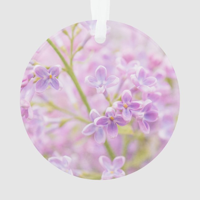Lilac Blume Mist Ornament (Rückseite)