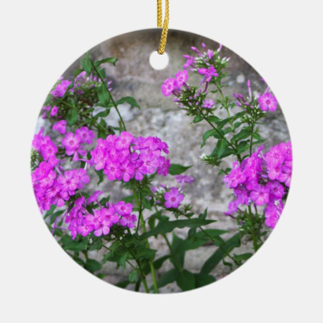 Lilac Blume Ornament (Vorne)