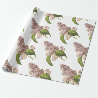 Lilac Blume Pattern Geschenkpapier