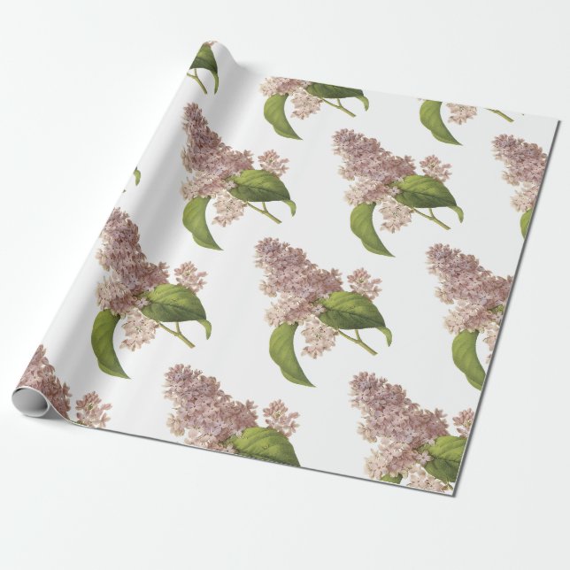 Lilac Blume Pattern Geschenkpapier (Ungerollt)