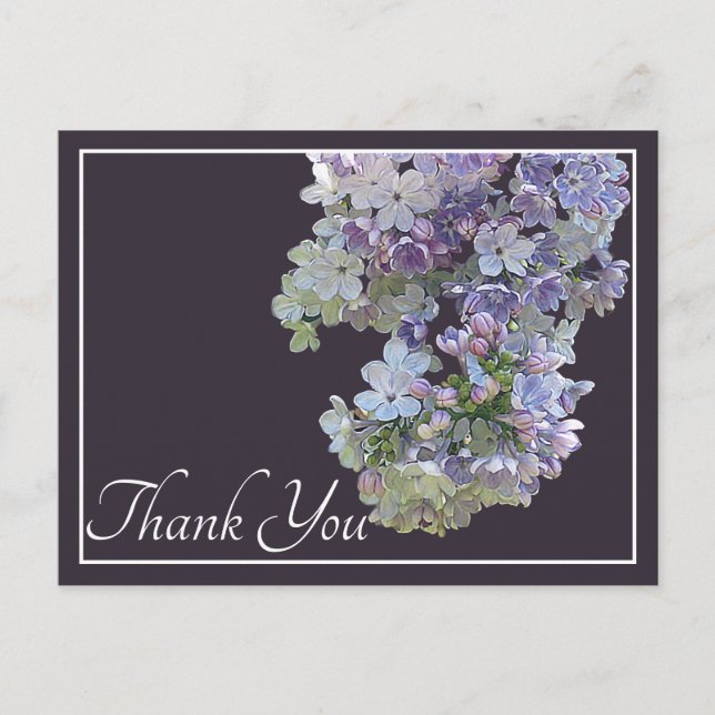 Lilac Blume Plum Background Vielen Dank Postkarte (Vorderseite)