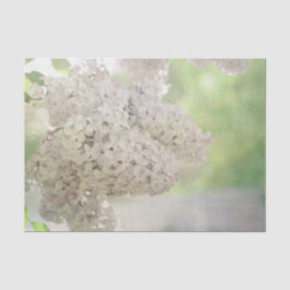 Lilac Blume Soft White Country Botanic Seidenpapier