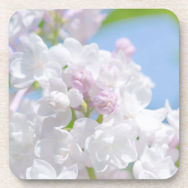 Lilac Blume Untersetzer (Vorderseite)