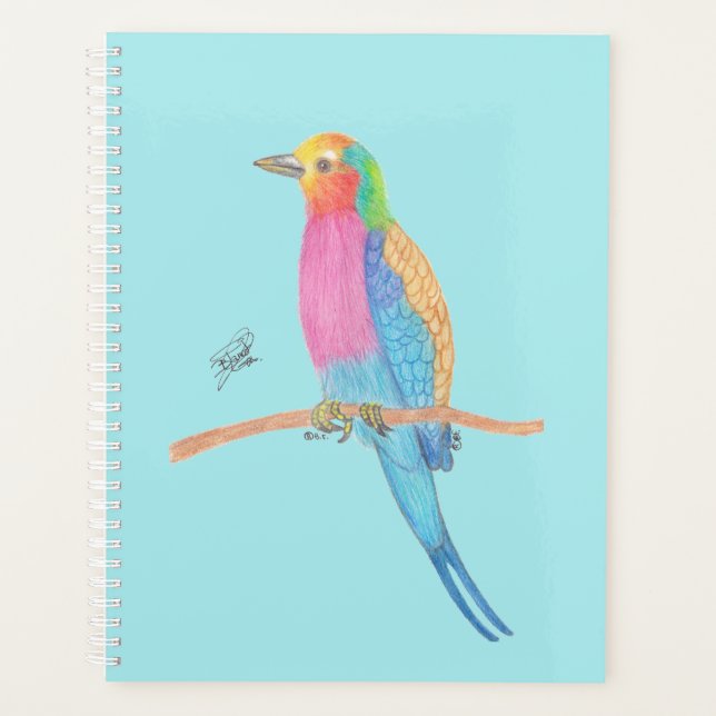 LILAC-BREASTED ROLLER (Devant)