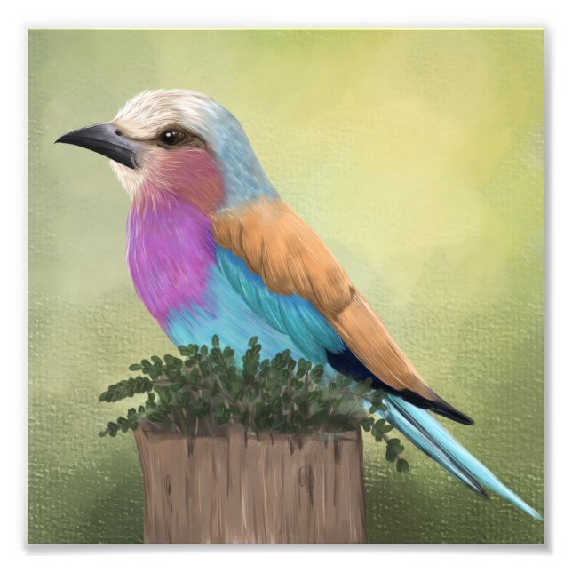 Lilac Breasted Roller Colorful Bird Art Fotodruck (Vorne)