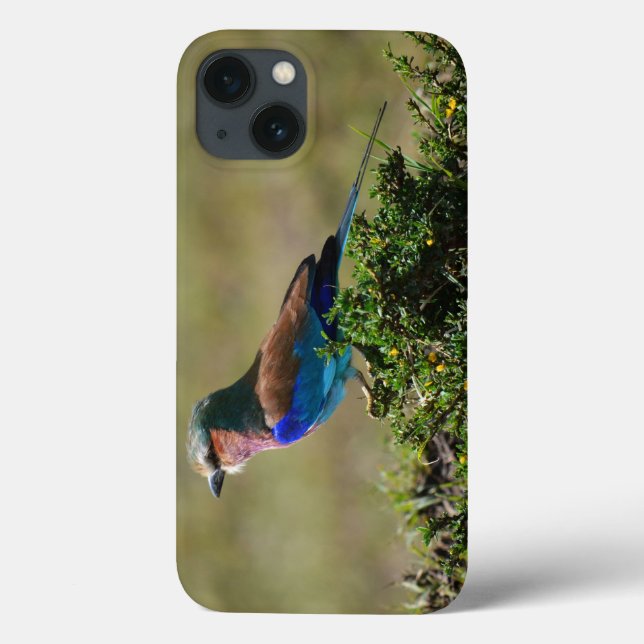 Lilac Breasted Roller iPad Mini coque (Verso)