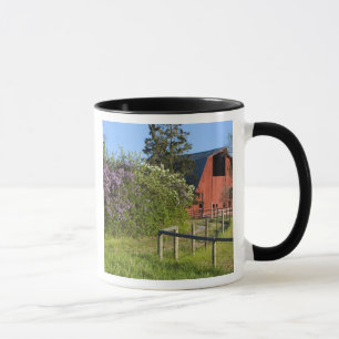 Lilac-Büsche in Blüten und Maden in den Bäumen Tasse