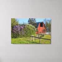 Lilac-Büsche in Blüten und Magiden in den Bäumen