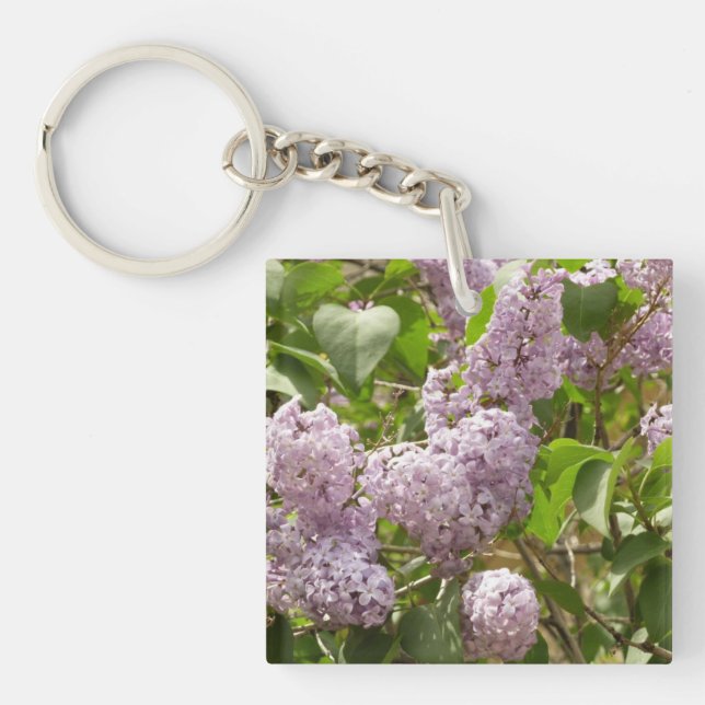 Lilac Bush Belles fleurs de printemps violettes (Devant)