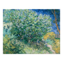 Lilac Bush (Lilacs) von Vincent Van Gogh