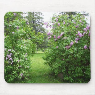 Lilac Bush nach dem Regen Mousepad