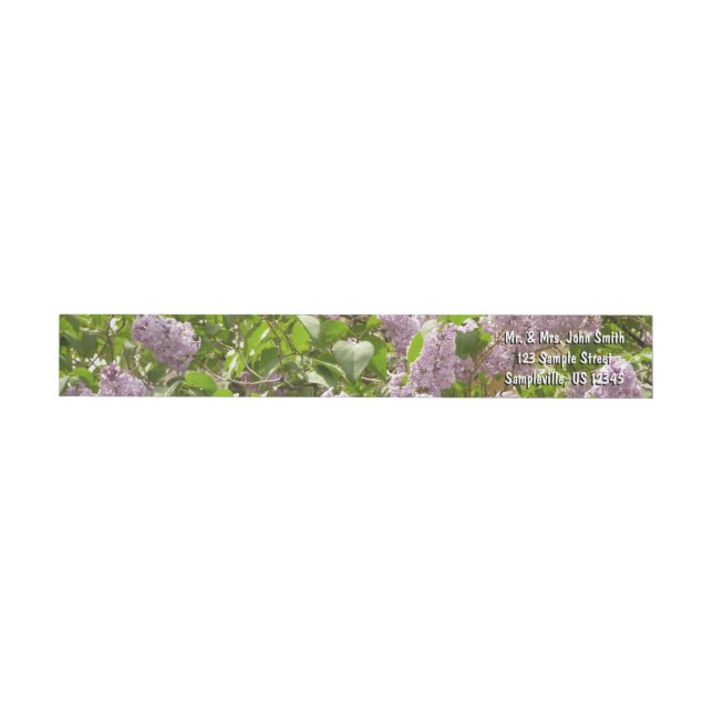 Lilac Bush Schöne Lila Frühlingsblumen (Person)