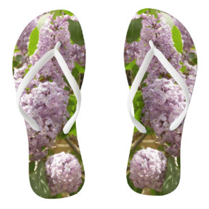 Lilac Bush Schöne Lila Frühlingsblumen Flip Flops