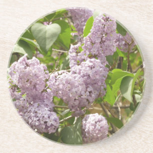 Lilac Bush Schöne Lila Frühlingsblumen Getränkeuntersetzer