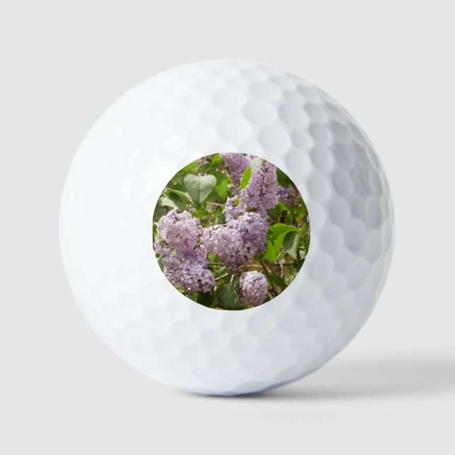 Lilac Bush Schöne Lila Frühlingsblumen Golfball (Vorderseite)