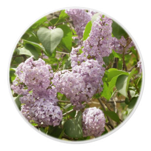 Lilac Bush Schöne Lila Frühlingsblumen Keramikknauf