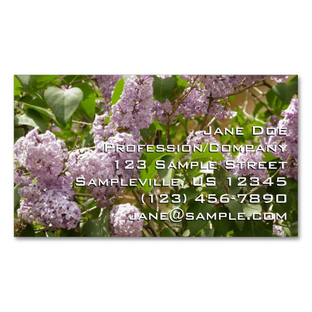 Lilac Bush Schöne Lila Frühlingsblumen Magnetische Visitenkarte (Vorderseite)