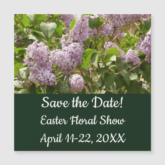 Lilac Bush Schöne Lila Frühlingsblumen Magnetkarte (Vorderseite)