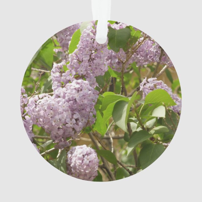 Lilac Bush Schöne Lila Frühlingsblumen Ornament (Rückseite)