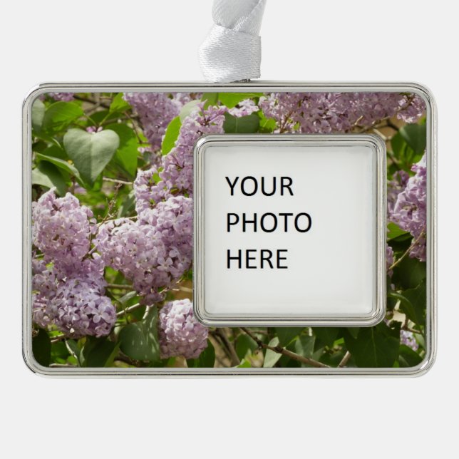 Lilac Bush Schöne Lila Frühlingsblumen Rahmen-Ornament Silber (Vorderseite)