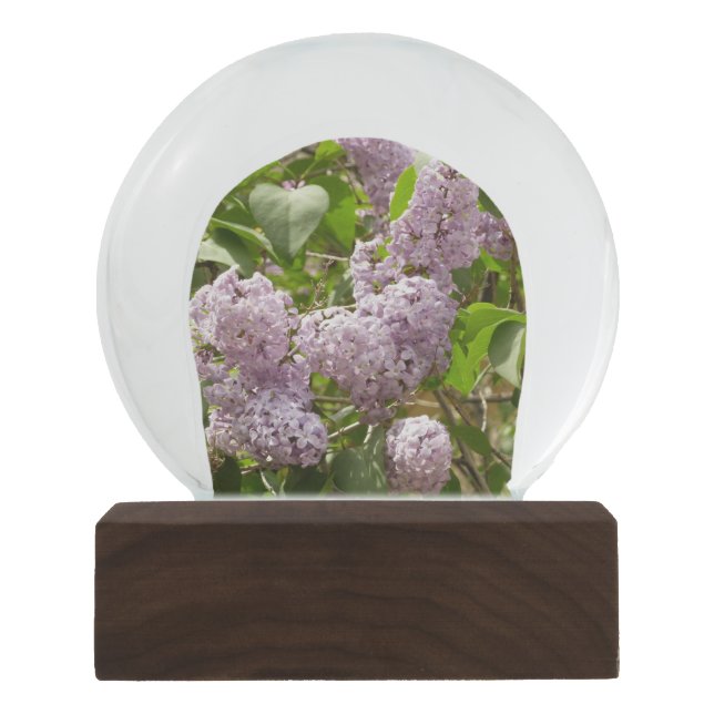 Lilac Bush Schöne Lila Frühlingsblumen Schneekugel (Vorderseite)