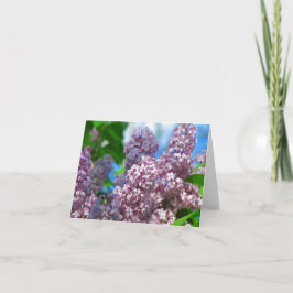 Lilac Card 1 Karte