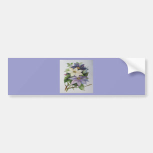 Lilac Clematis Vine Acrylmalerei Autoaufkleber