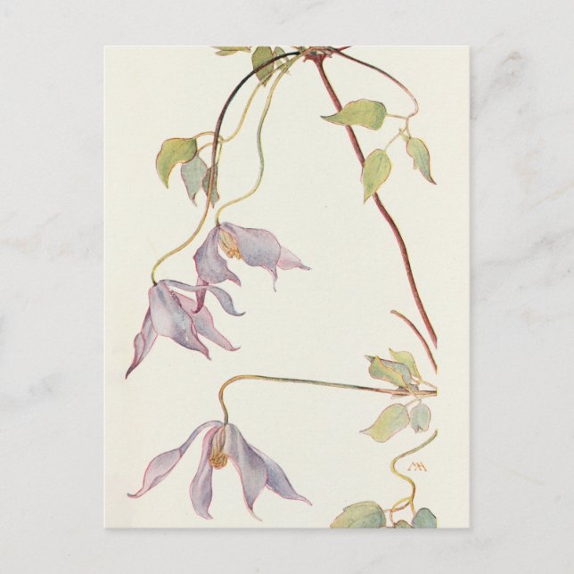 Lilac Clematis von Margaret Armstrong Postkarte (Vorderseite)