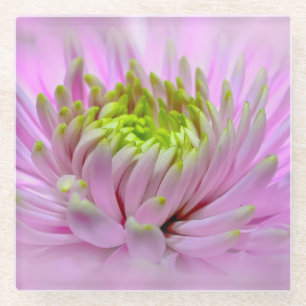 Lilac Dahlia - Glass Untersetzer