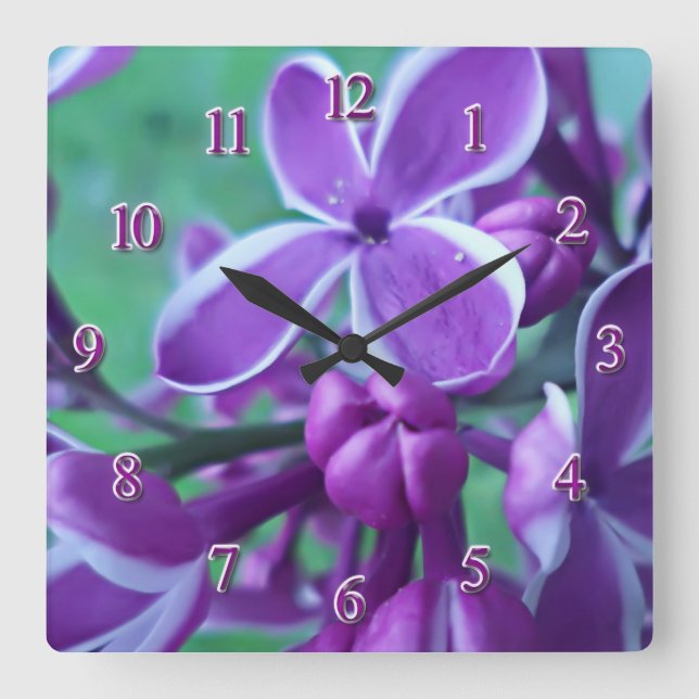 Lilac Farbvielfalt  Quadratische Wanduhr (Vorderseite)