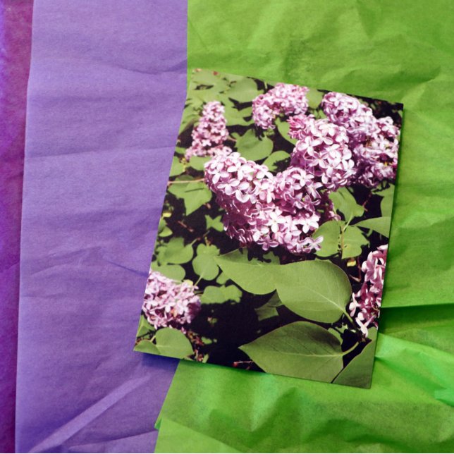 Lilac Liebe Postkarte (Von Creator hochgeladen)