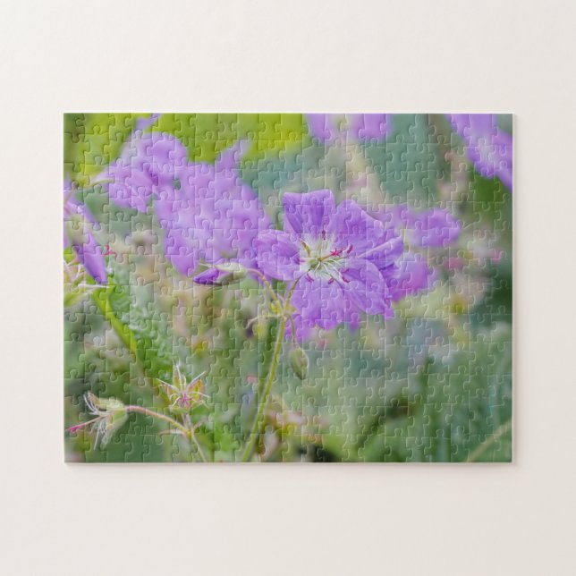 Lilac Lila Geranium Wildblume Botanisches Foto (Horizontal)