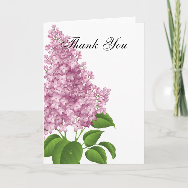 Lilac Merci (Devant)