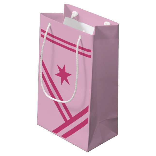 Lilac Pink Diagonal Stripes Star Moderne Grafik Kleine Geschenktüte (Rückseite Schrägansicht)