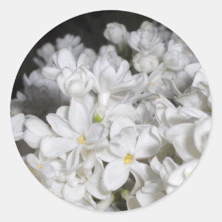 Lilac Runder Aufkleber