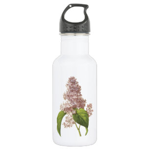 lilac(Syringa sp) von Redouté Edelstahlflasche