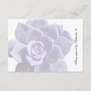 Lilac translucide Succulent Vintage rsvp