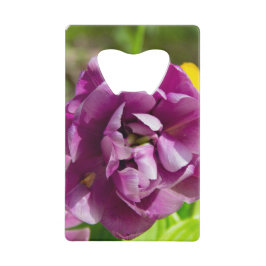 Lilac tulipes sur une journée ensoleillée