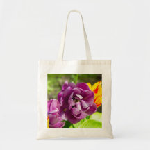 Lilac tulips an einem sonnigen Tag