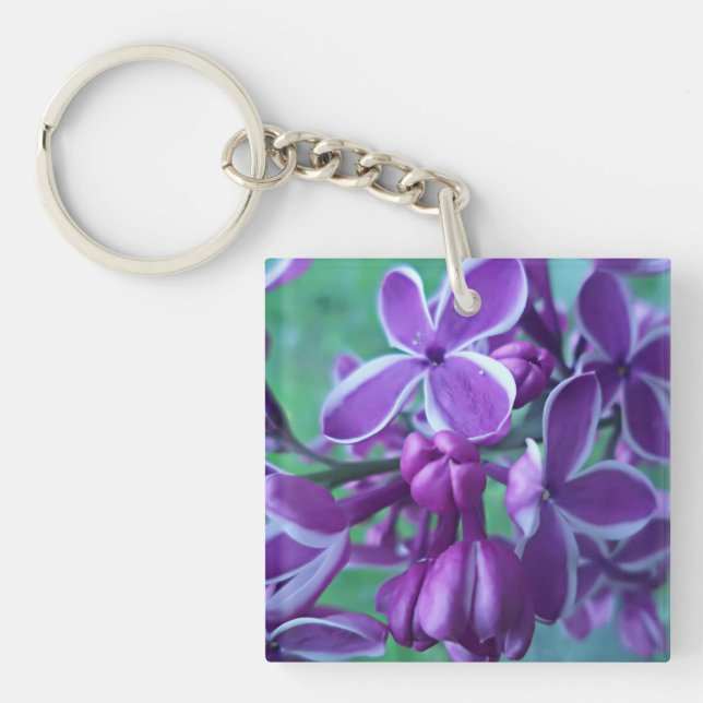 Lilac variété de couleurs (Devant)