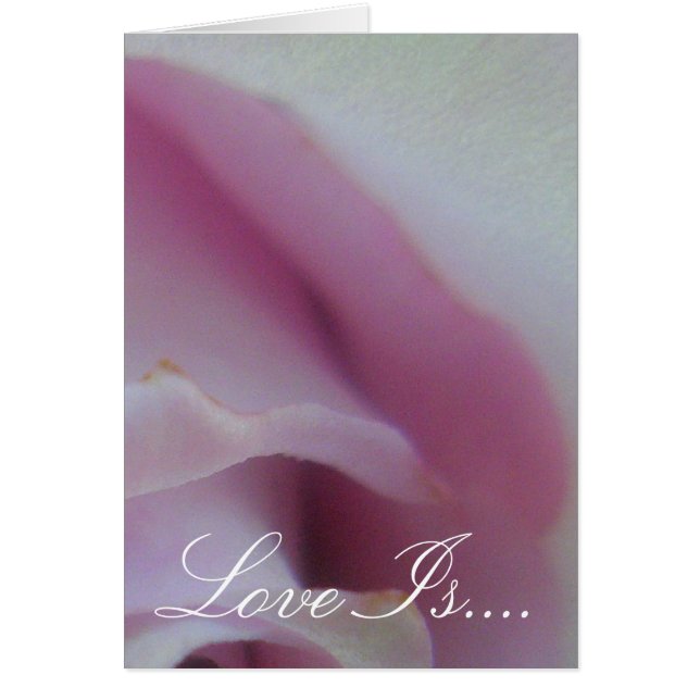 Lilac Wedding Rose (Vorne)