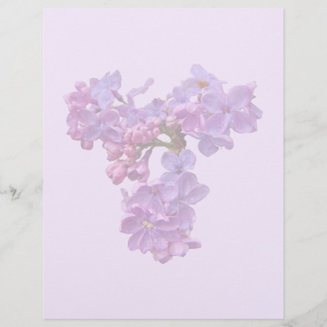 Lilacs in Springtime (Vorderseite)