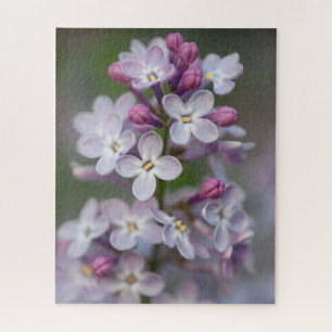 Lilacs-Puzzle